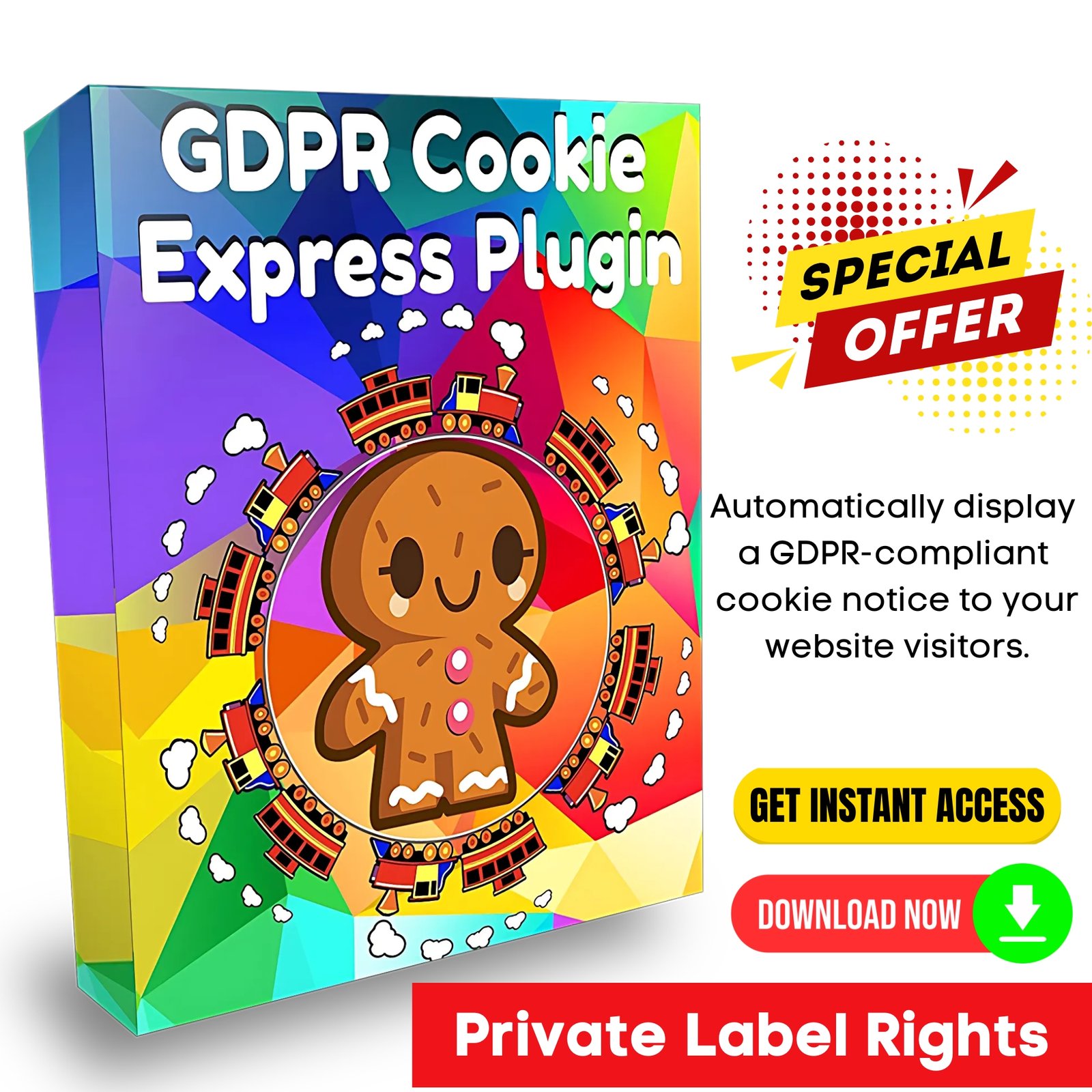 WP GDPR Cookie Express Plugin - PLR Package