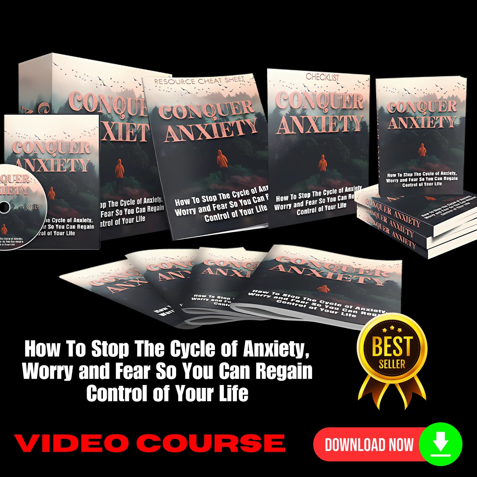 Conquer Anxiety Upgrade Package (Video Course)