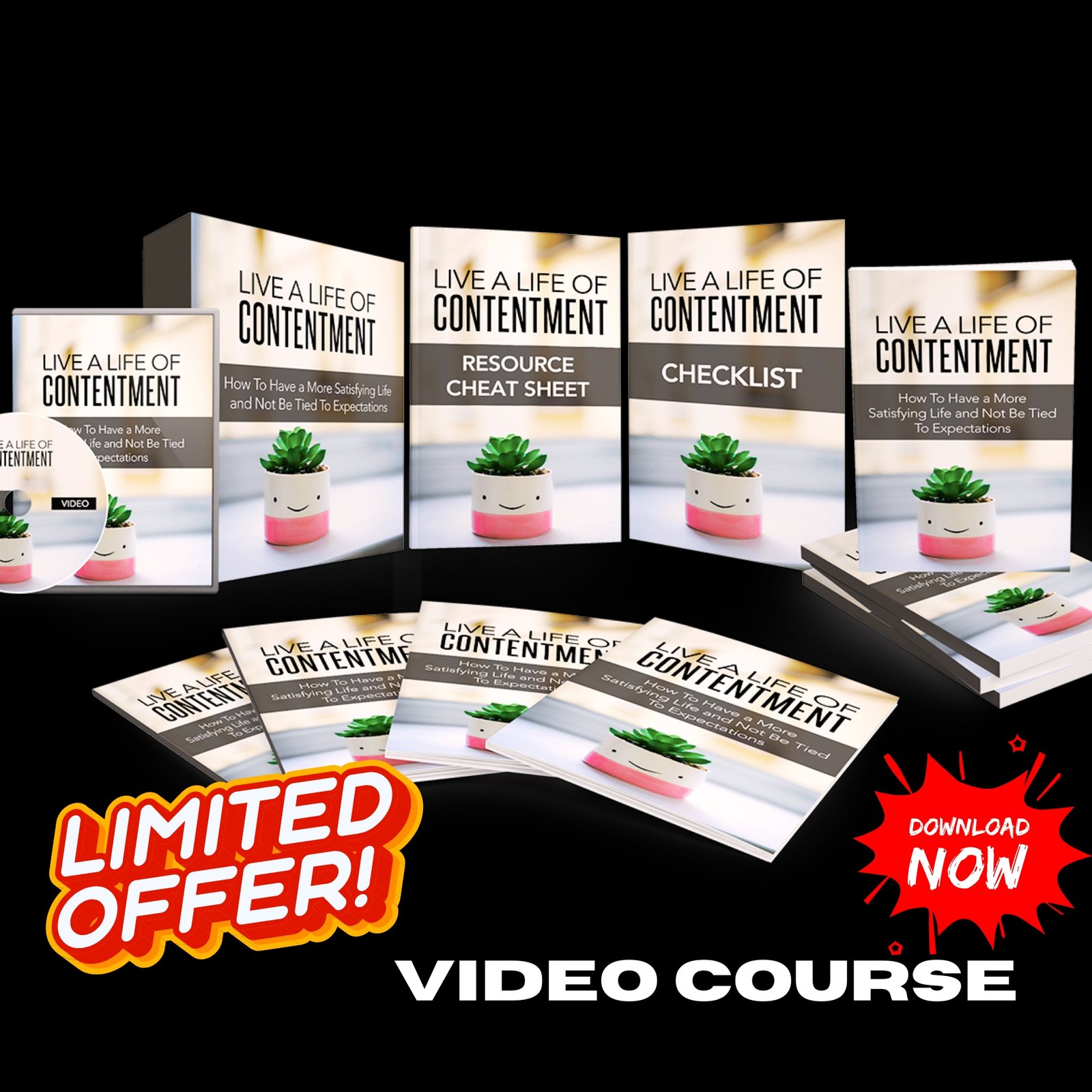 Life Of Contentment Upgrade Package (Video Course)